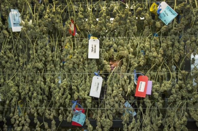 Colorado Dispensary 