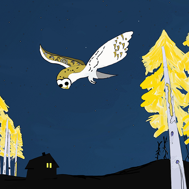 image of barn owl drawing