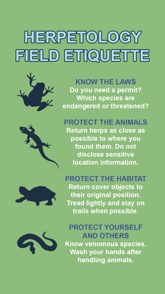 Graphic with text 'Herpetology field etiquette Know the laws. Do you need a permit? Which species are endangered or threatened? PROTECT THE ANIMALS. Return herps as close as possible to where you found them. Do not disclose sensitive location information. PROTECT THE HABITAT. Return cover objects to their original position . Tread lightly and stay on trails when possible. PROTECT YOURSELF AND OTHERS. Know venomous species. Wash your hands after handling animals.'